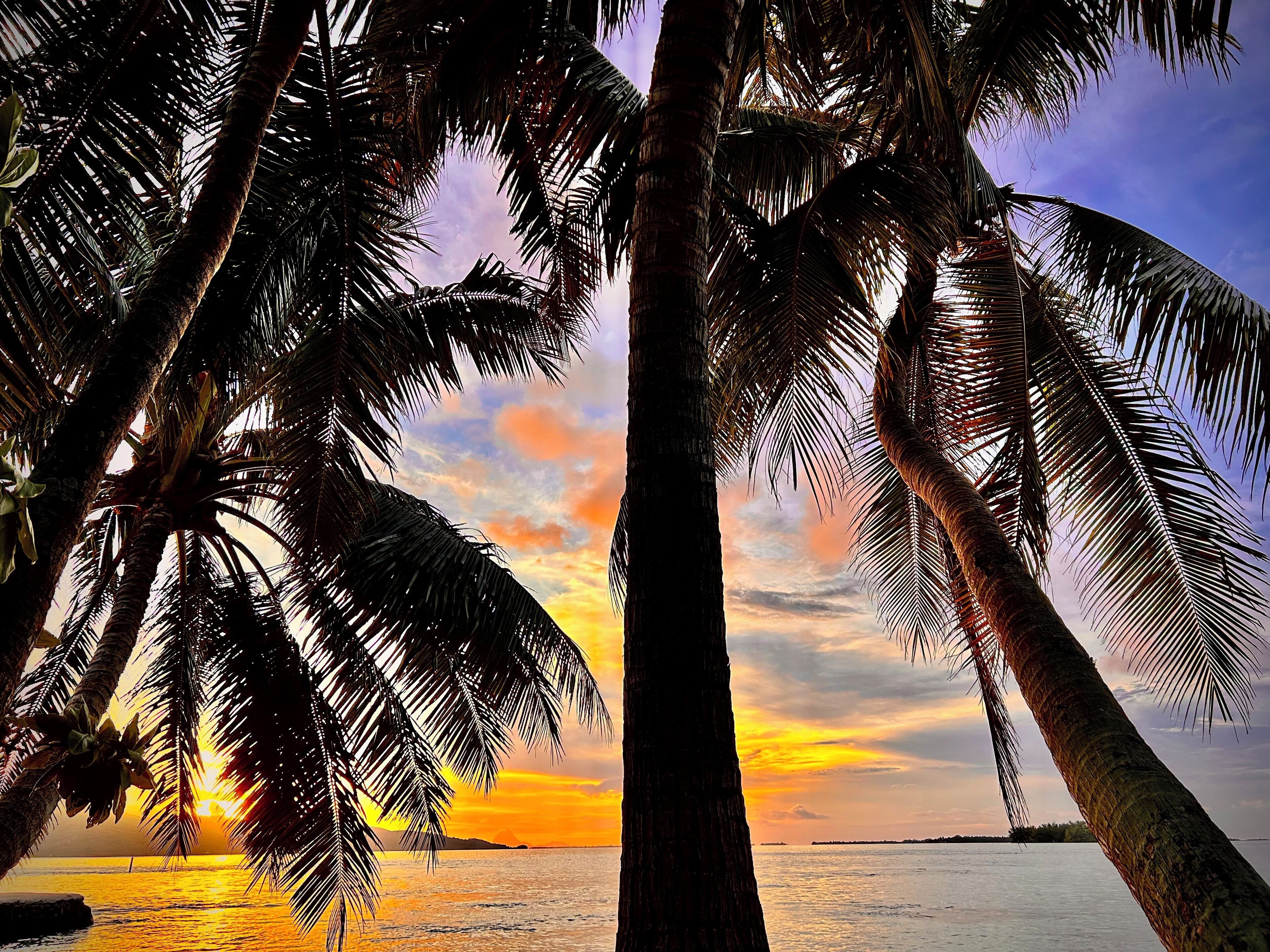 EDEN Private Island TAHA'A