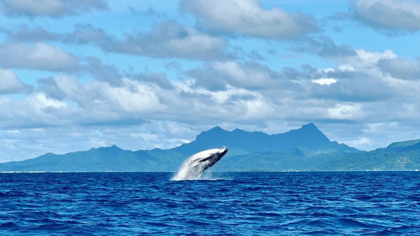 EDEN Private Island TAHA'A