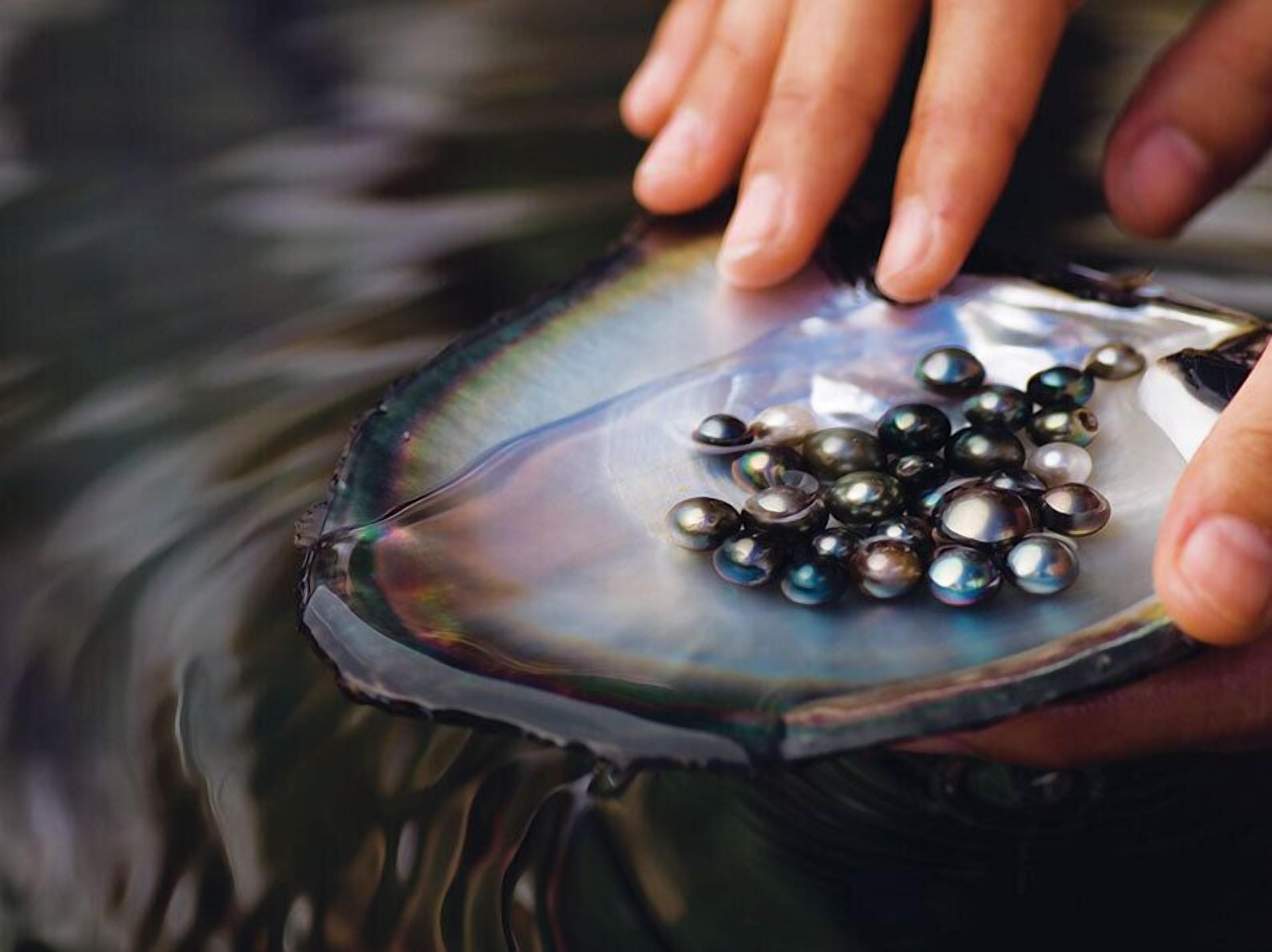 EDEN Private Island TAHA'A