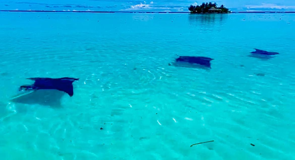 EDEN Private Island TAHA'A