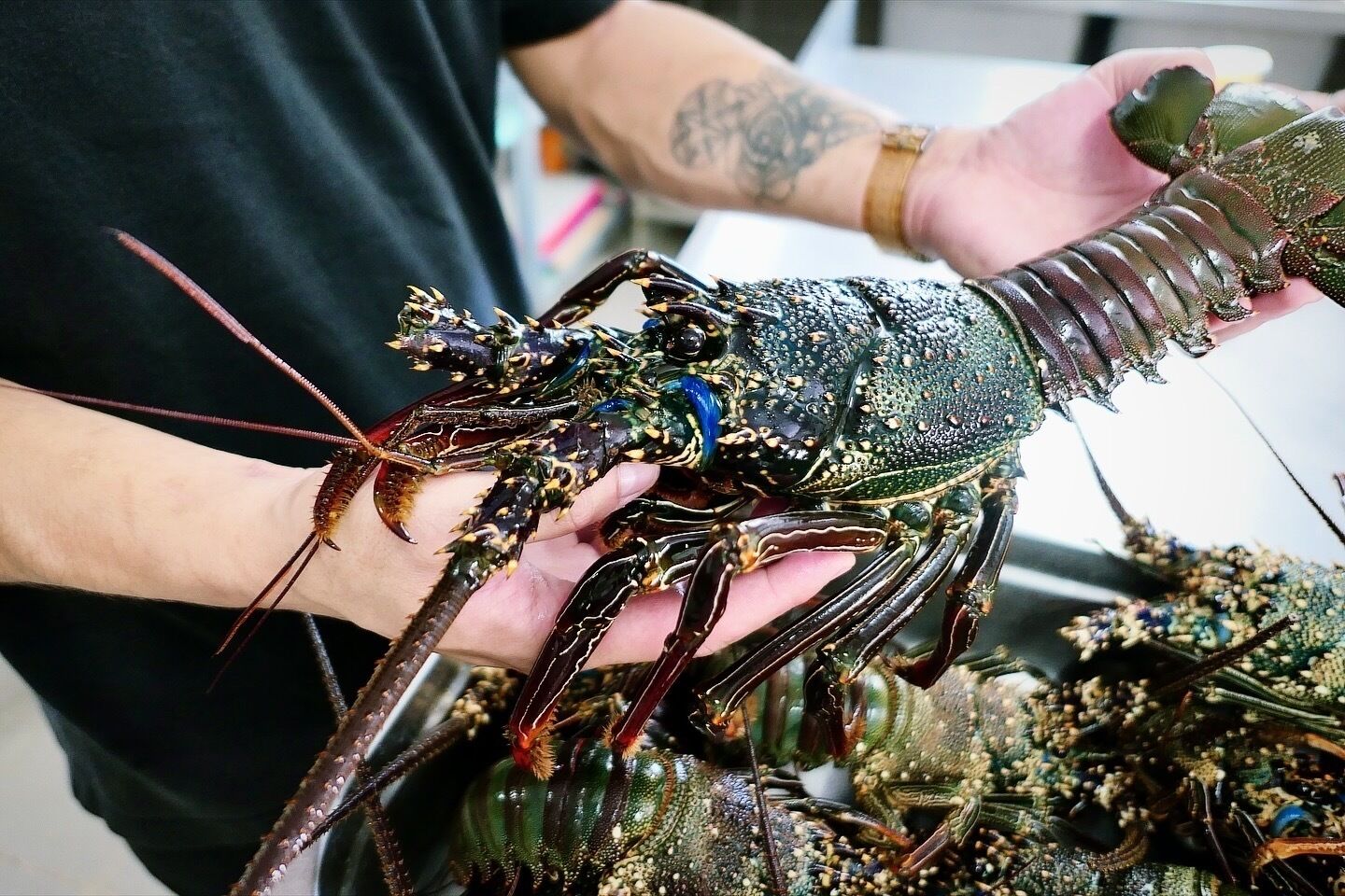 EDEN Private Island TAHA'A