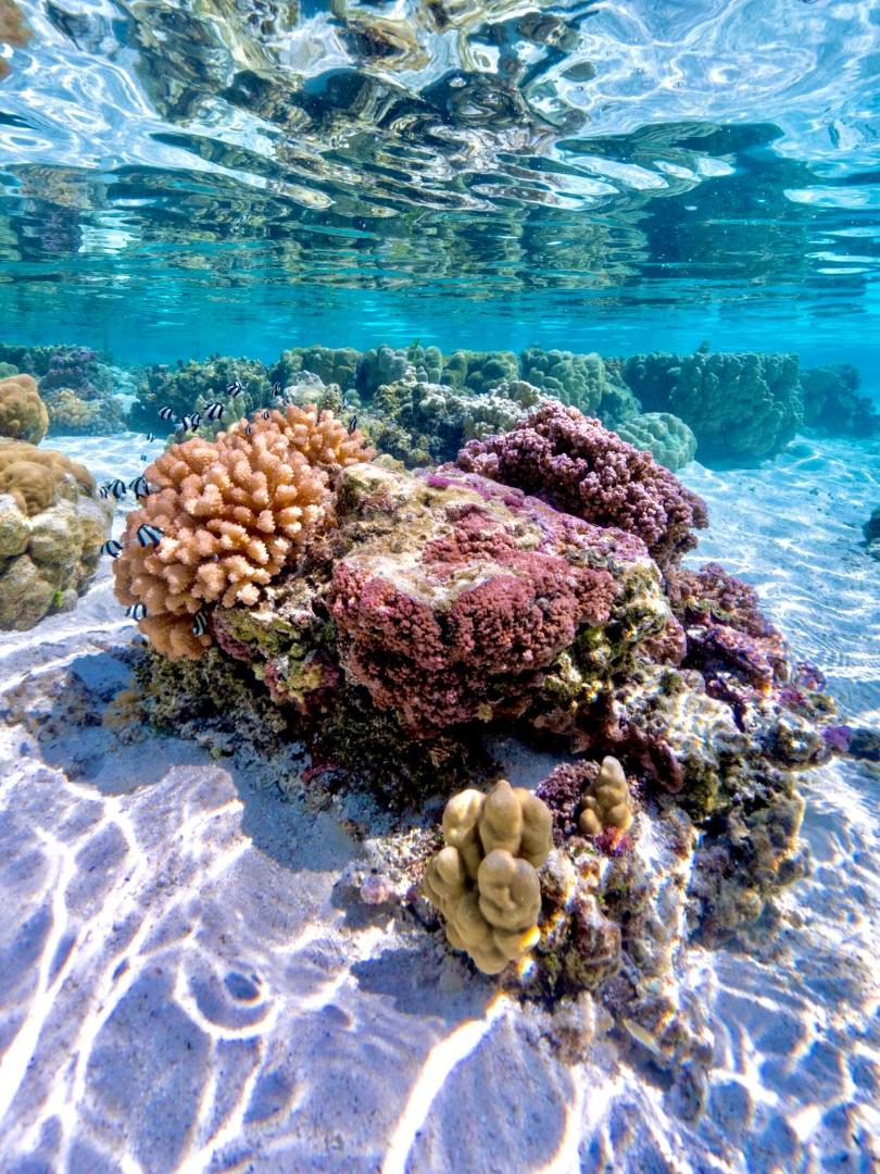 EDEN Private Island TAHA'A