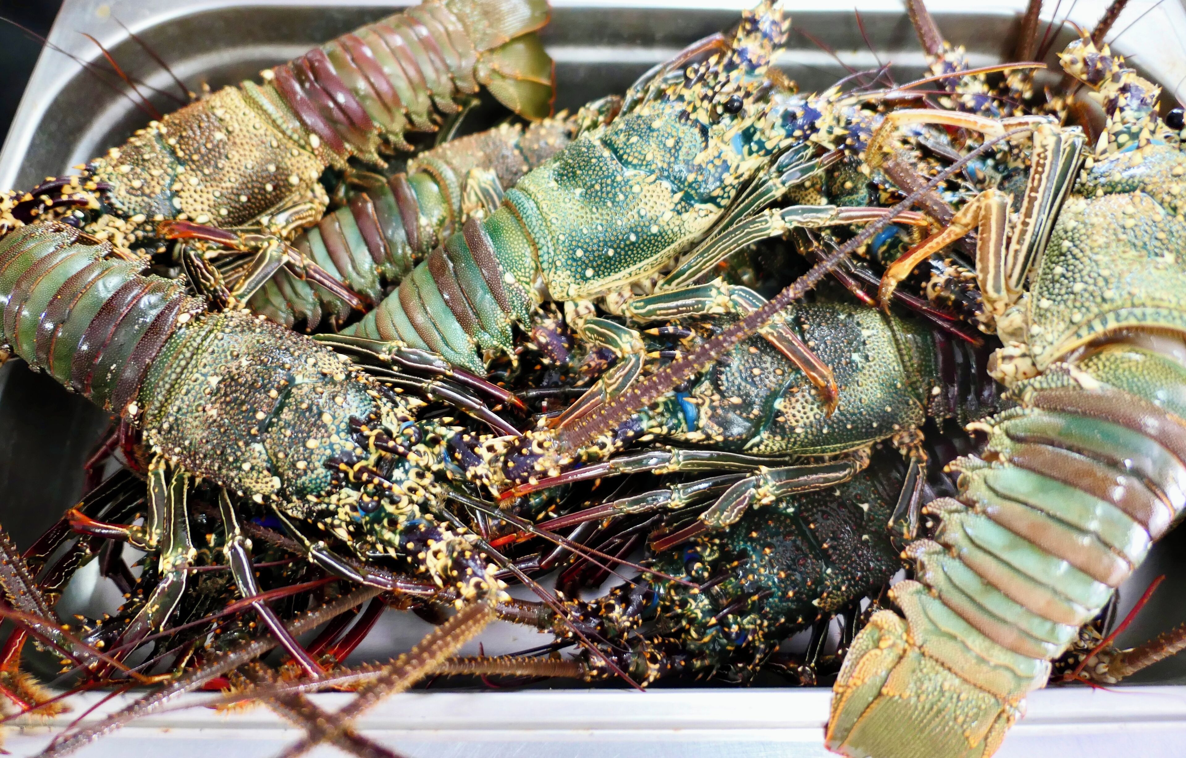 EDEN Private Island TAHA'A