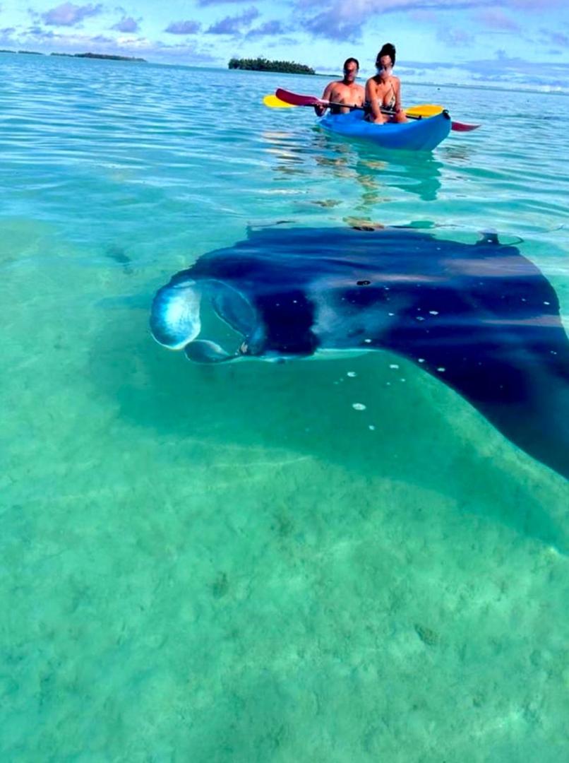 EDEN Private Island TAHA'A