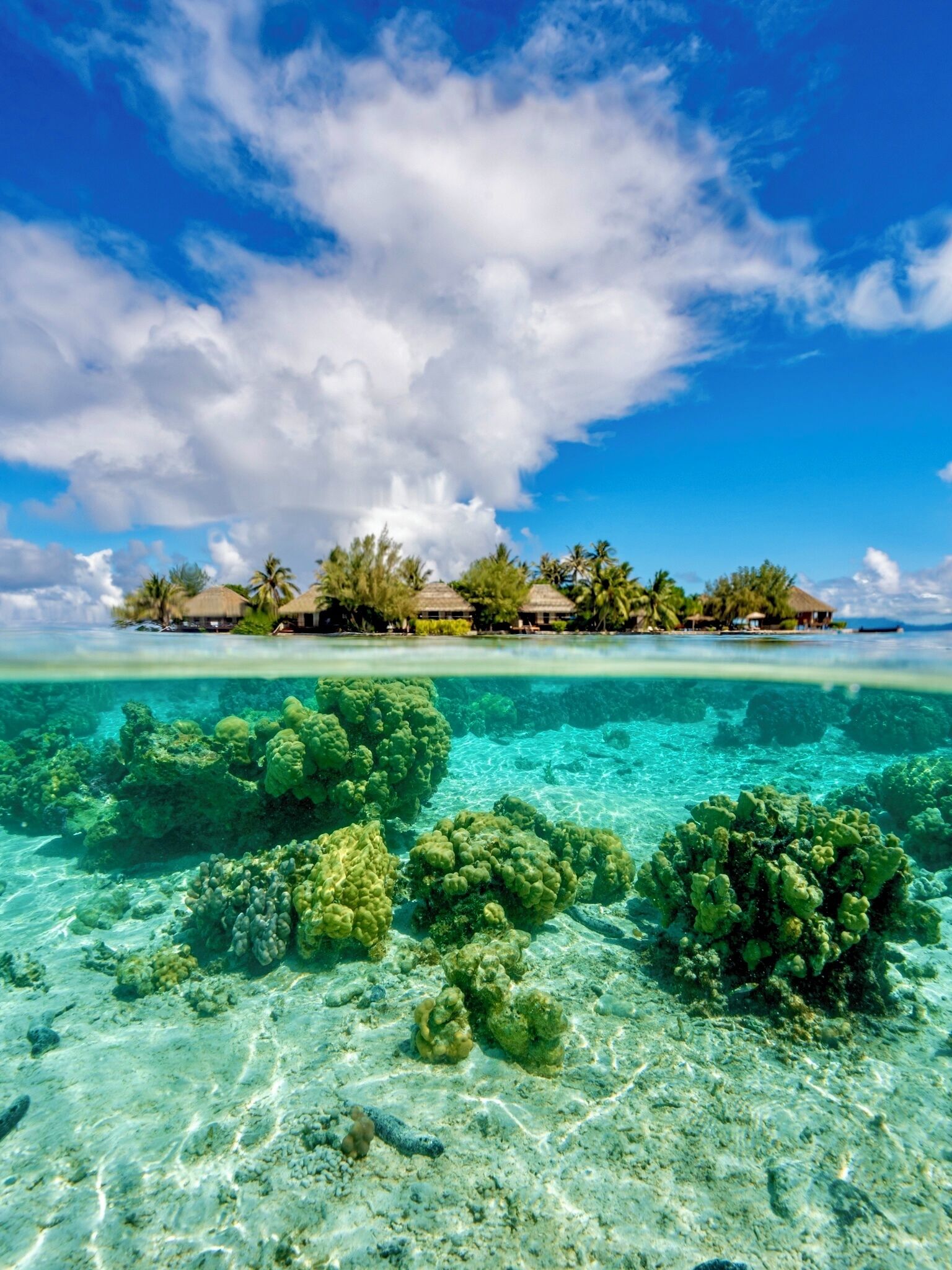 EDEN Private Island TAHA'A