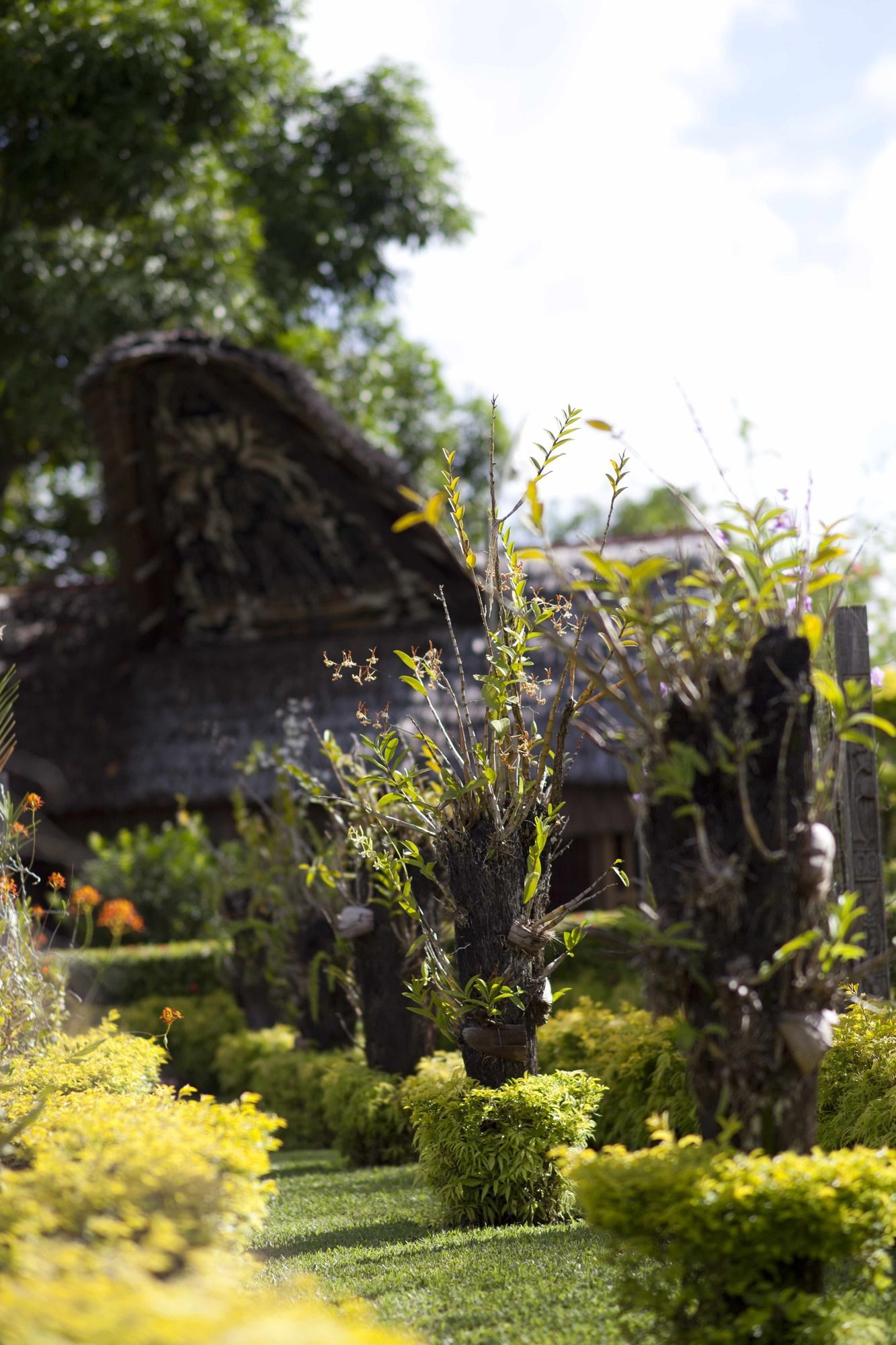 Madang Lodge Hotel