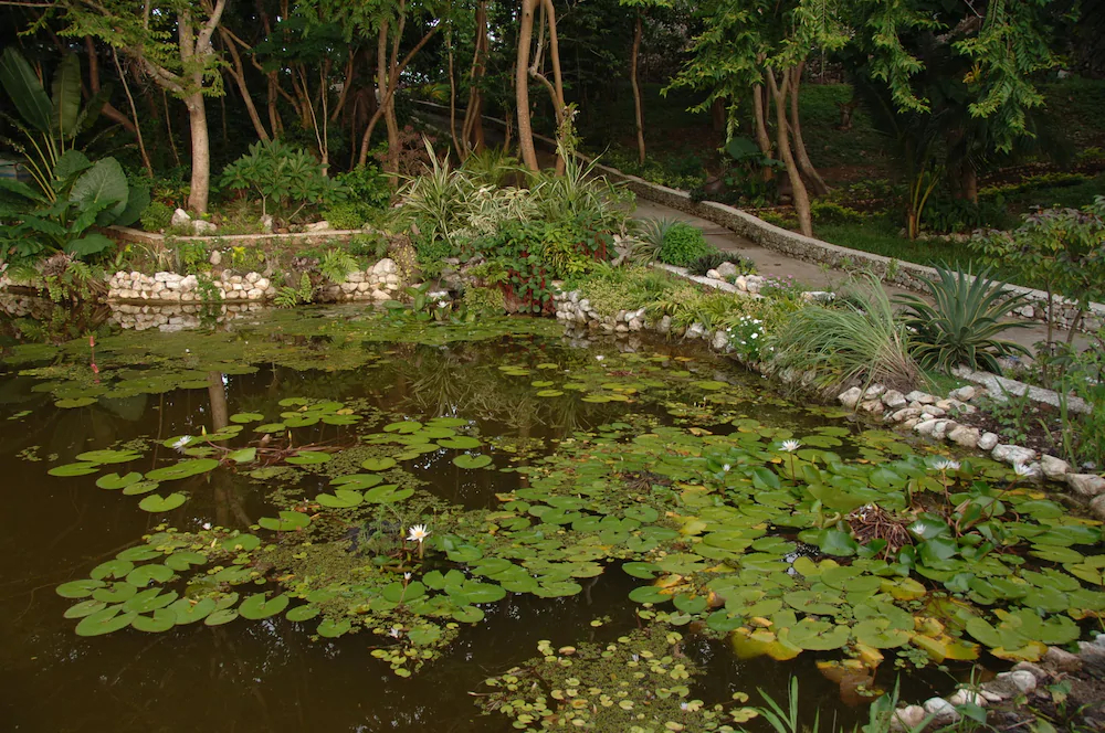 Noanoa Private Island Estate