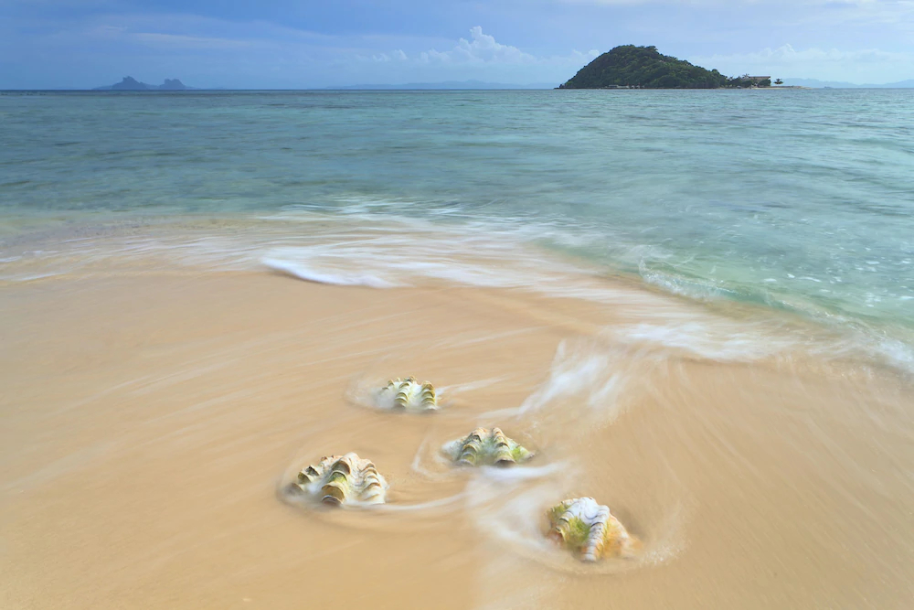 Noanoa Private Island Estate