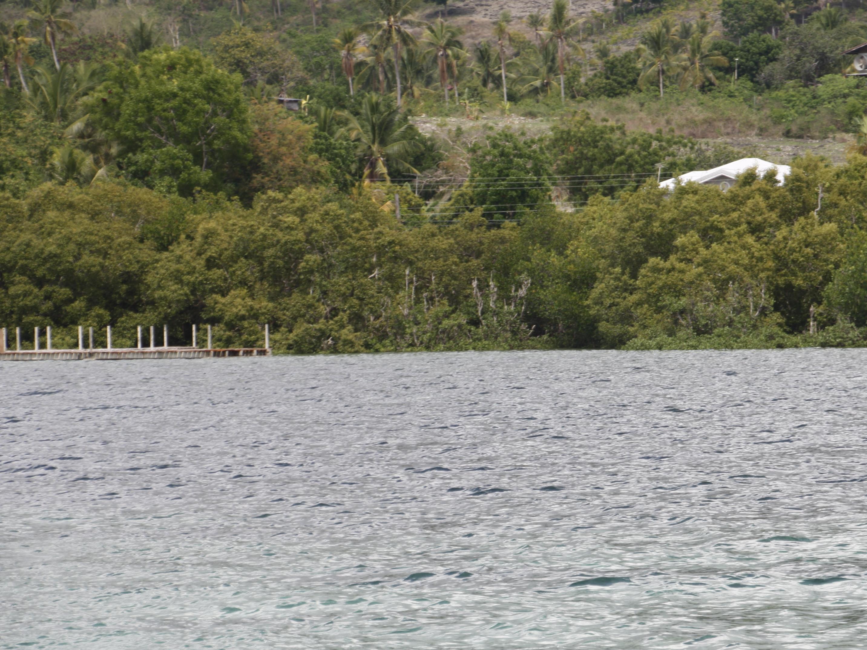 Ariella Mangrove & Eco Resort