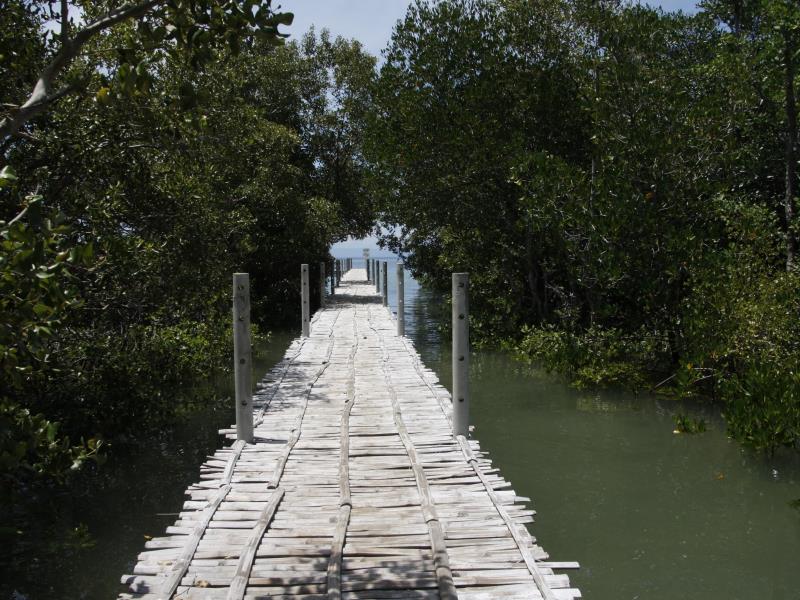 Ariella Mangrove & Eco Resort