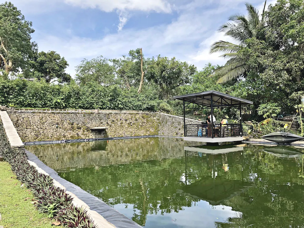 The Hill View Fishing Farm