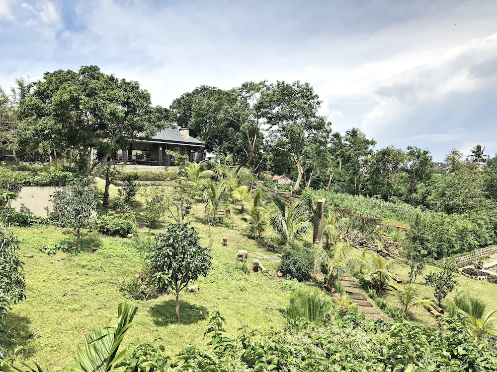 The Hill View Fishing Farm