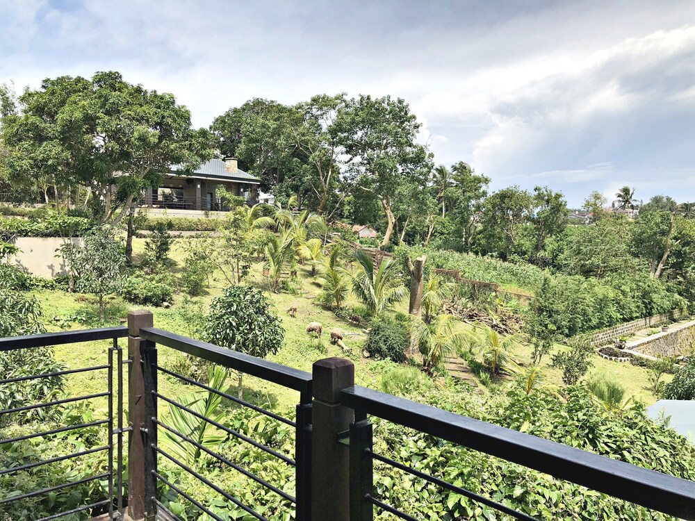 The Hill View Fishing Farm