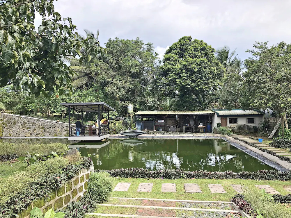 The Hill View Fishing Farm