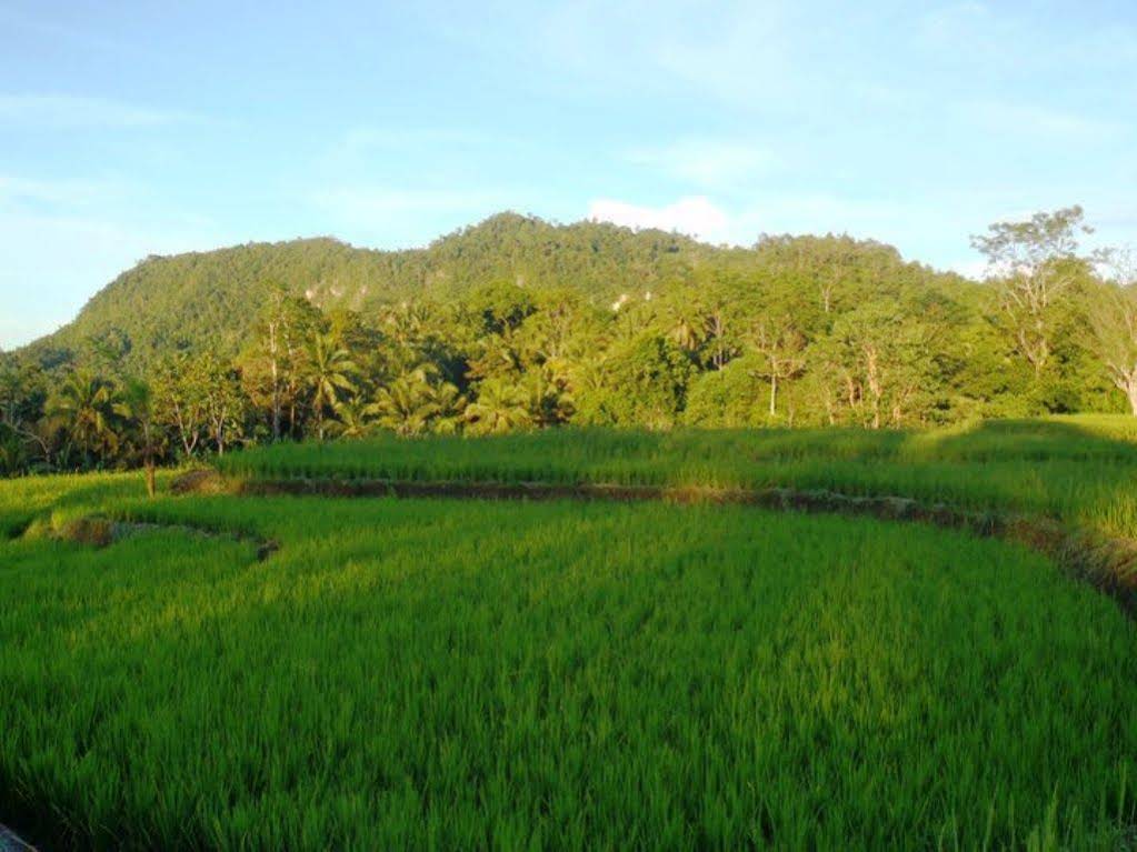 Bohol Paradise Hills and Resort