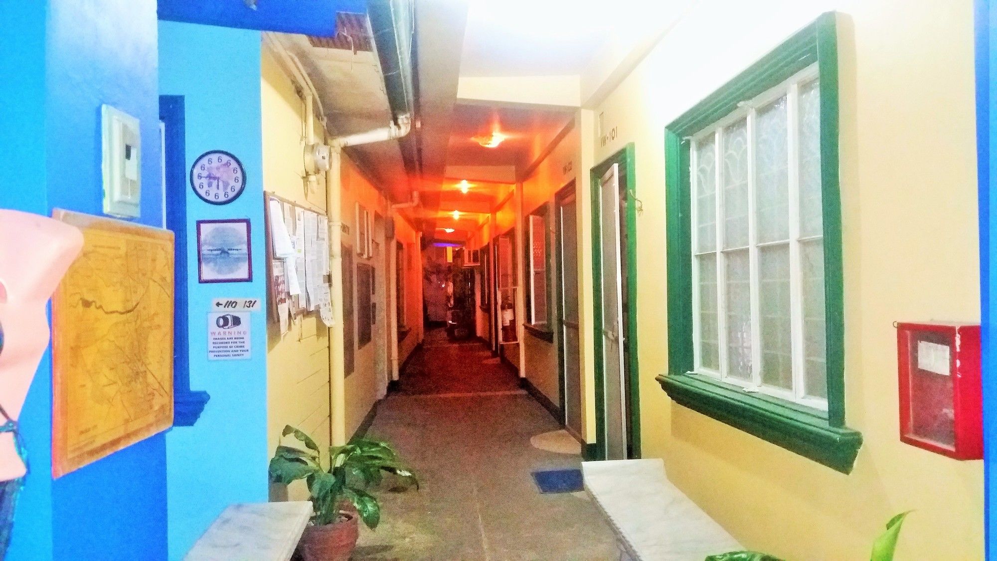 Daniela's Place