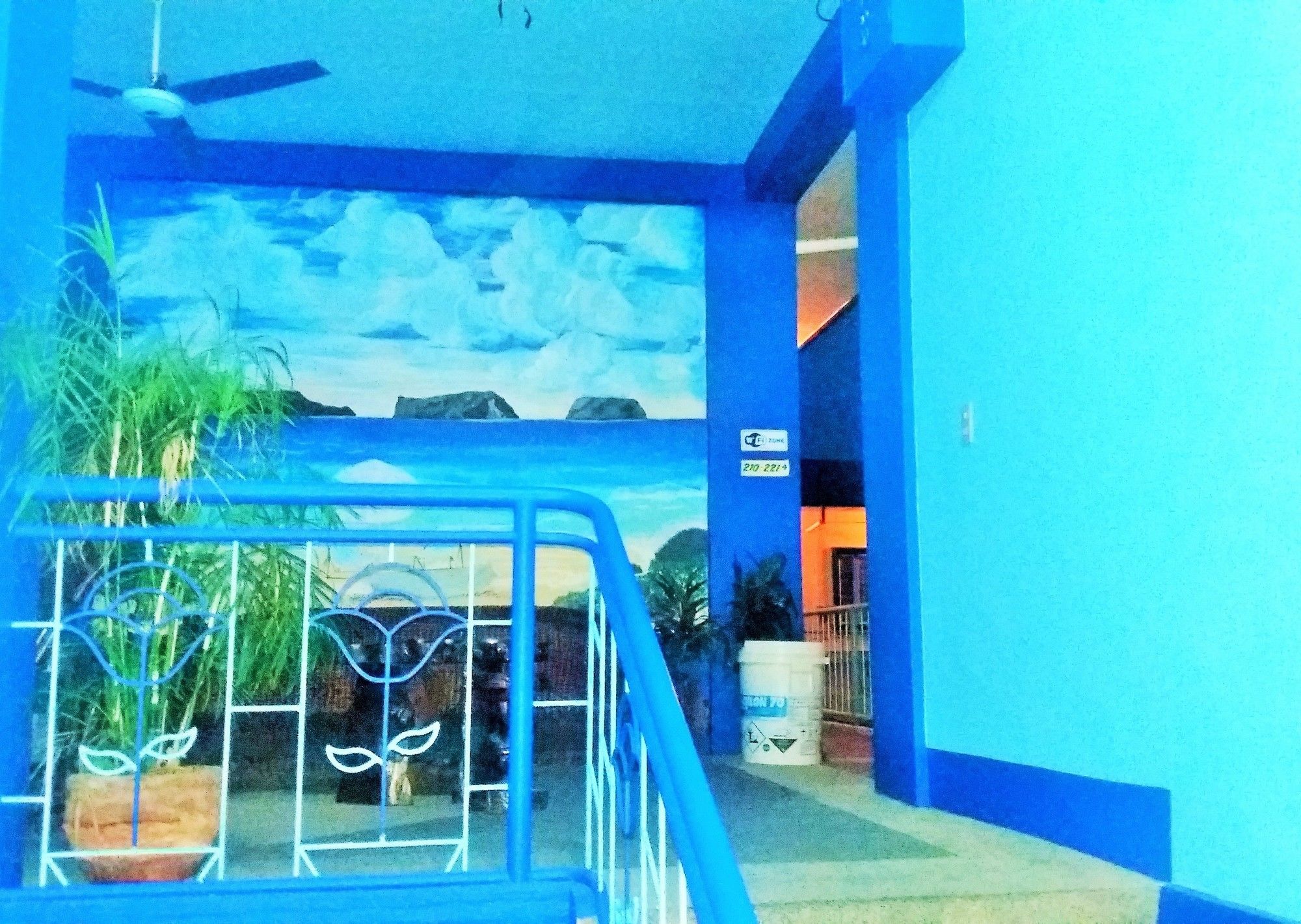Daniela's Place