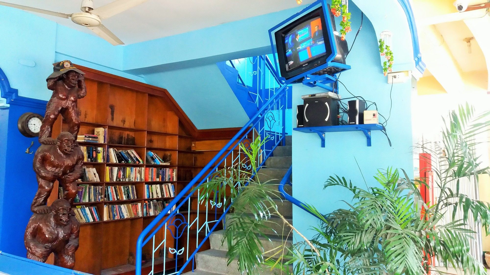 Daniela's Place