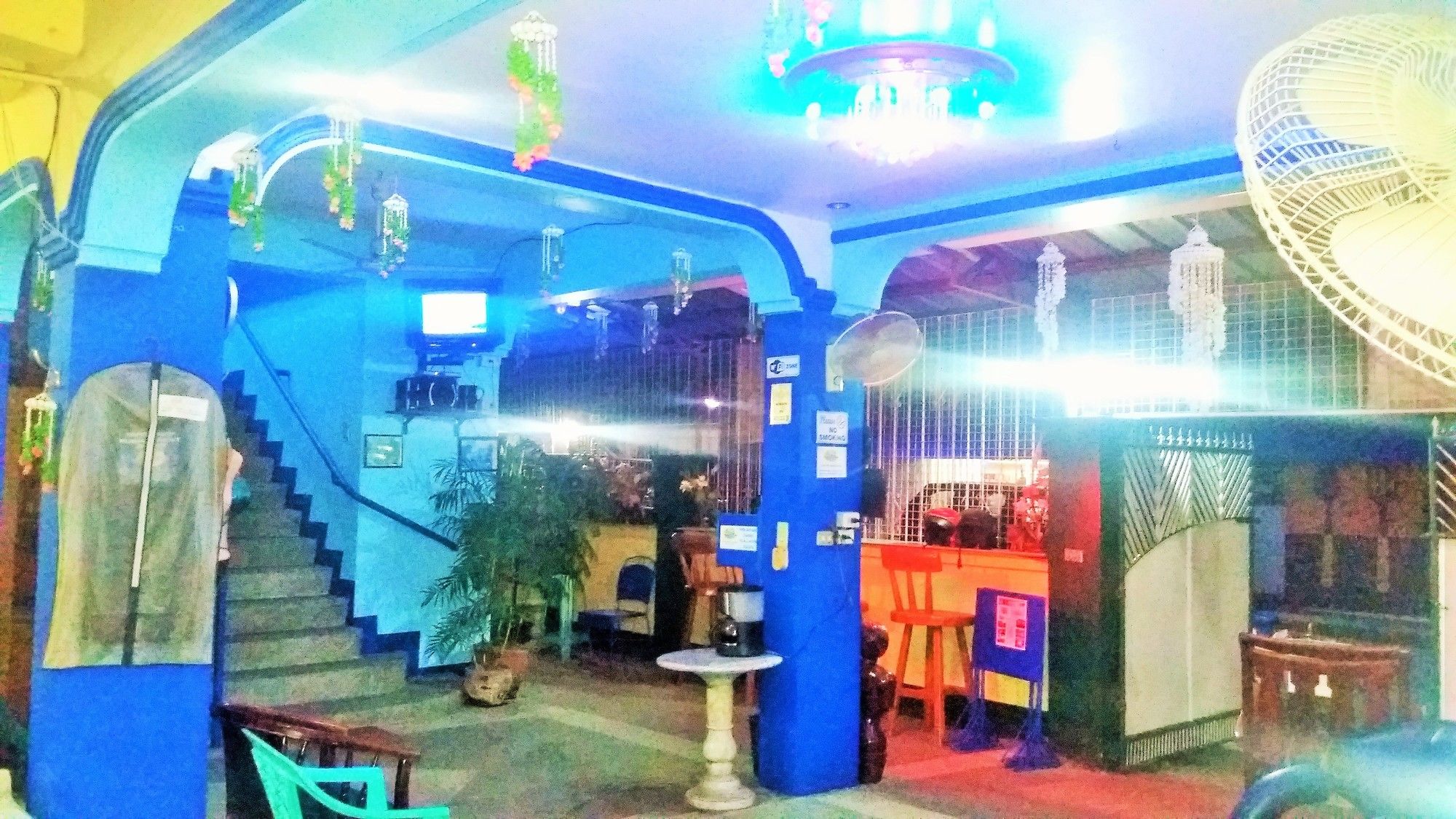 Daniela's Place
