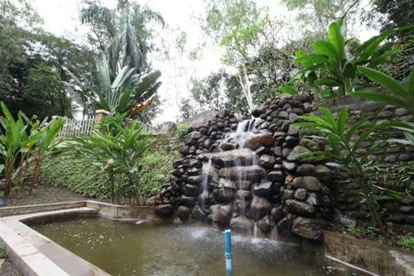 Woodland Resort