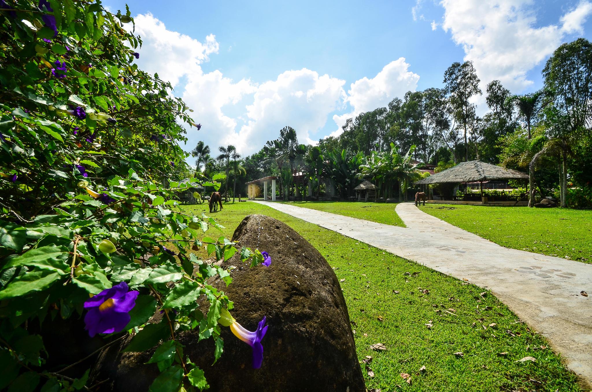 Nature's Village Resort