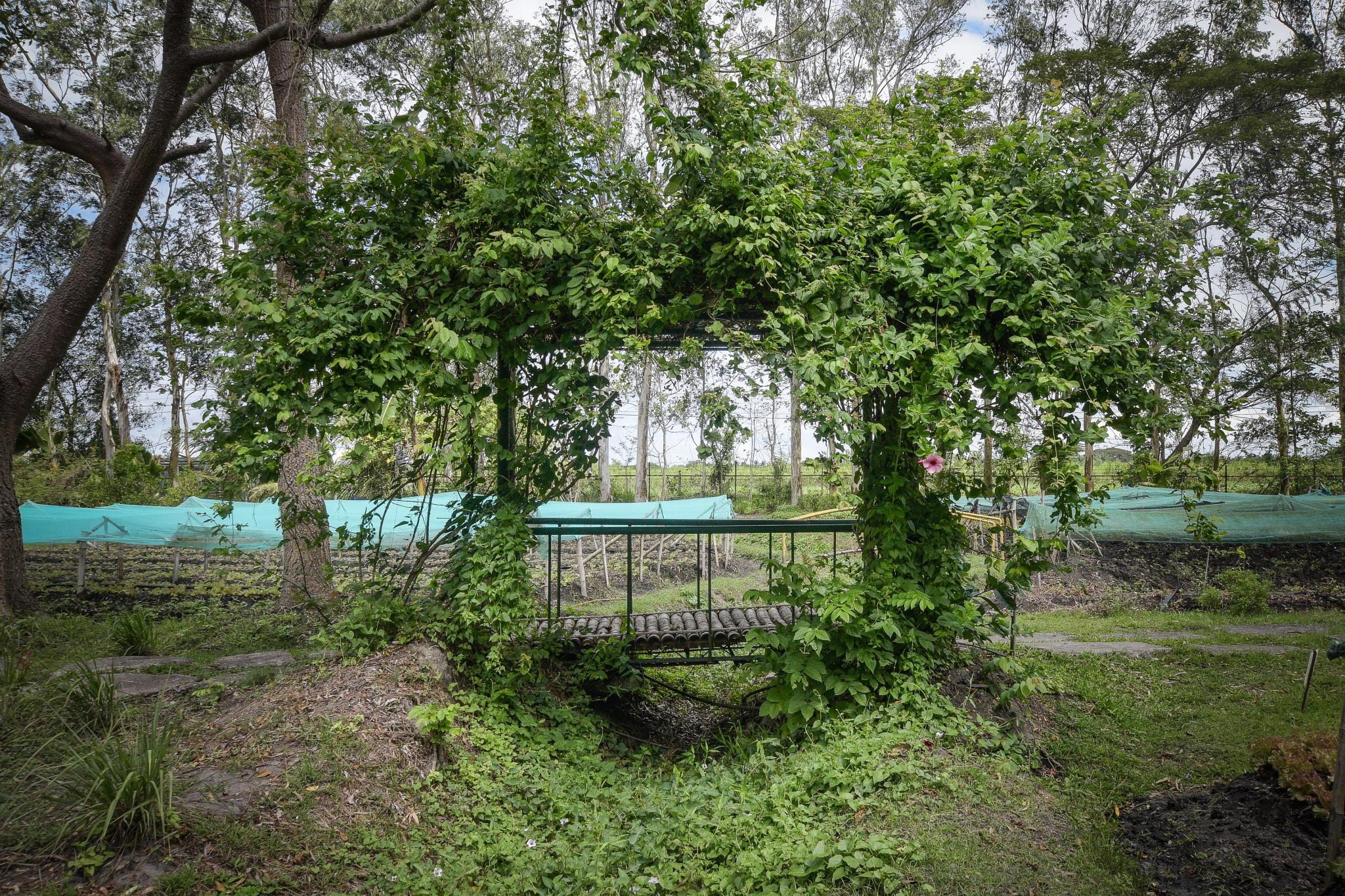 Nature's Village Resort