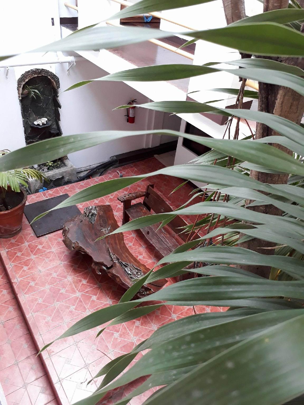 Pleasant Travelers Pension House