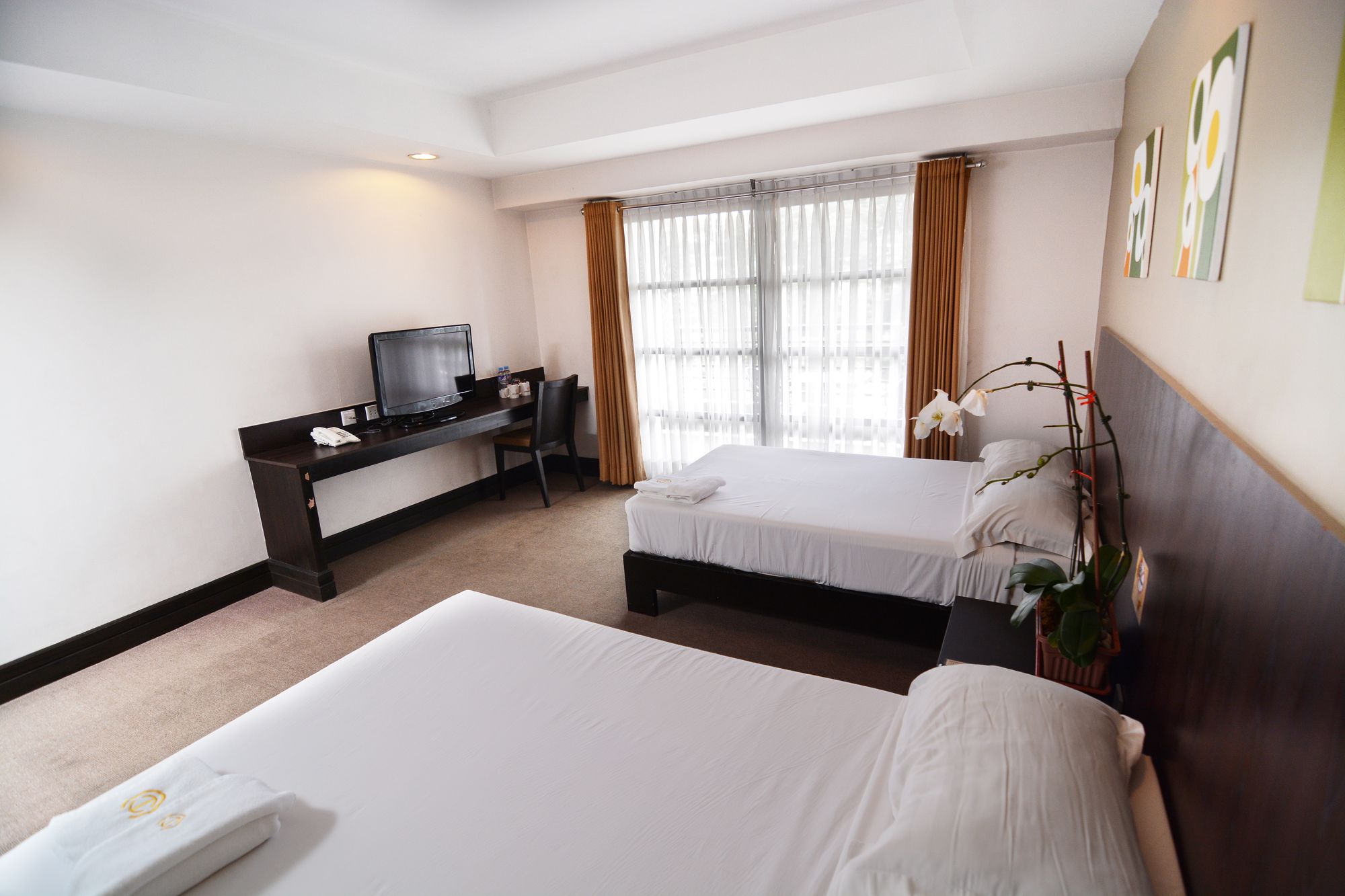 Citylight Hotel
