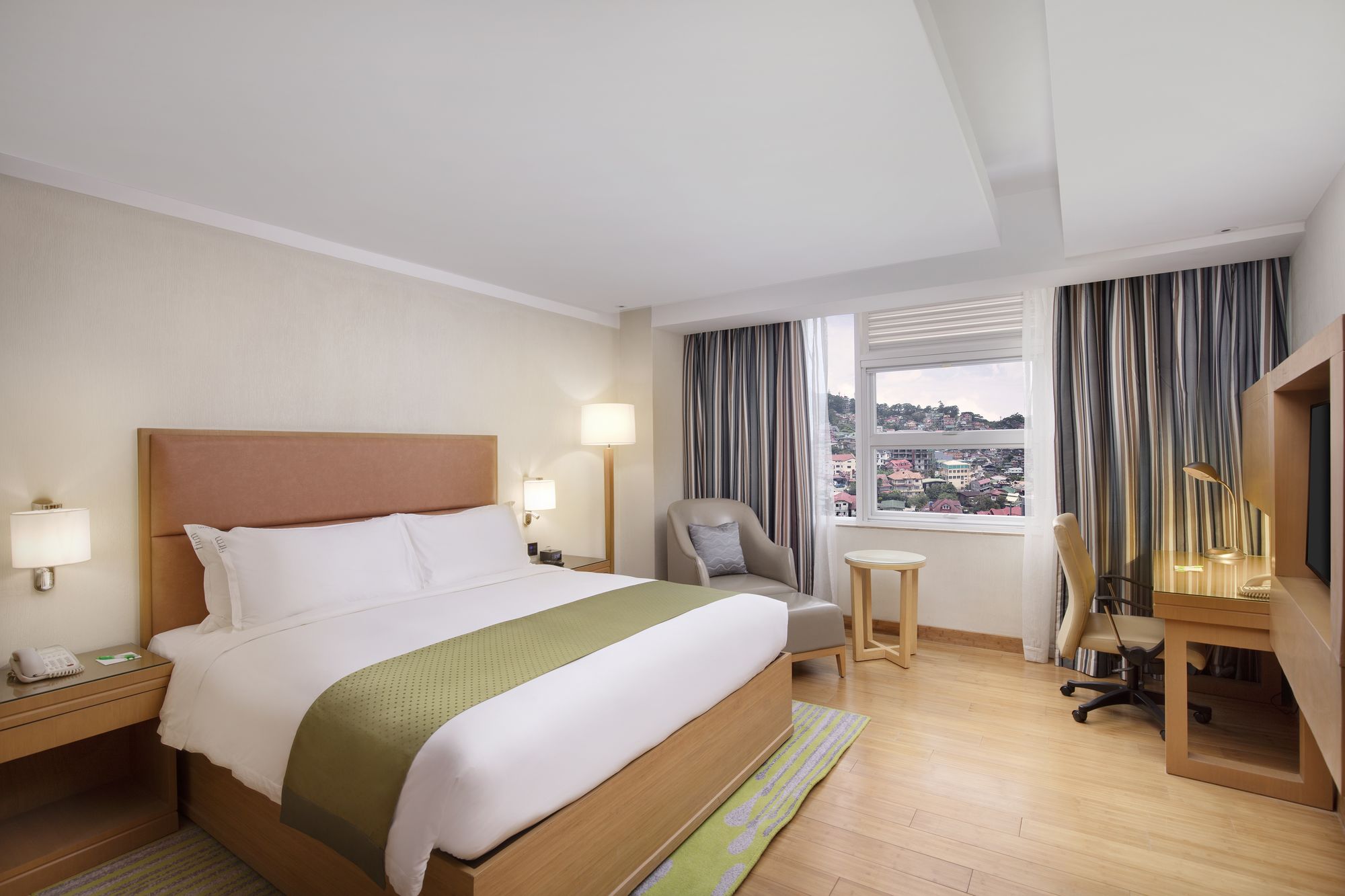 Ion Hotel