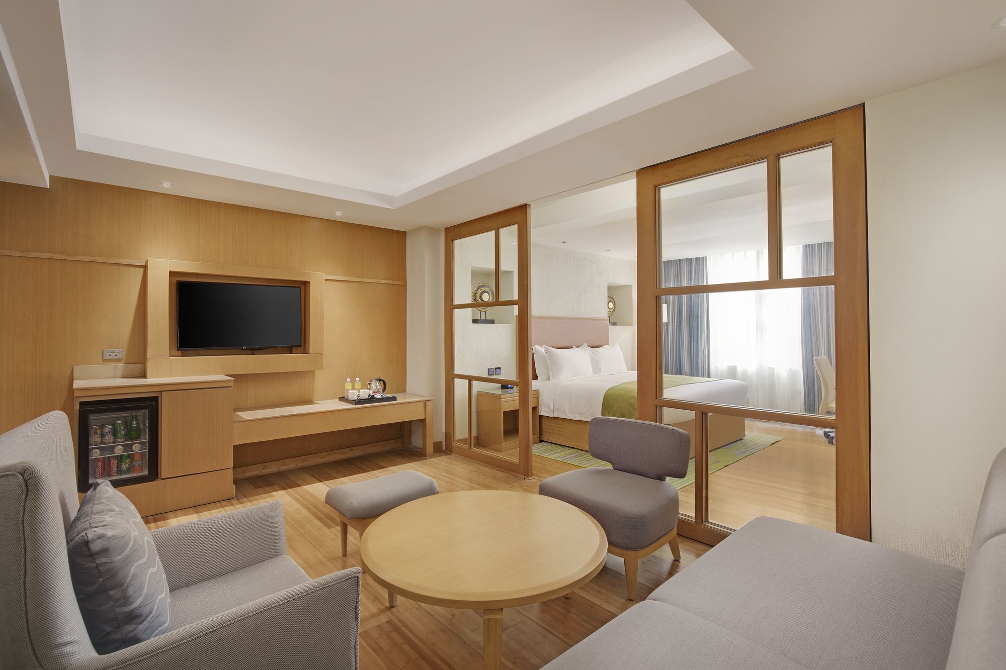 Ion Hotel