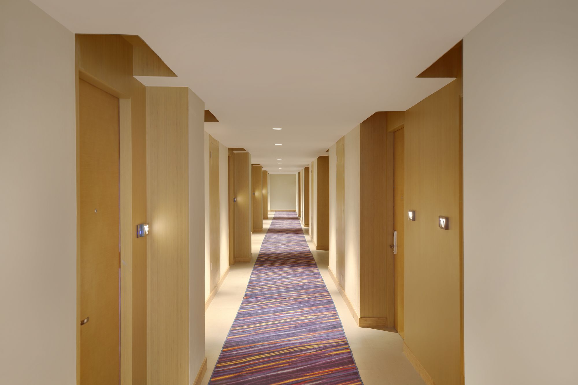 Ion Hotel
