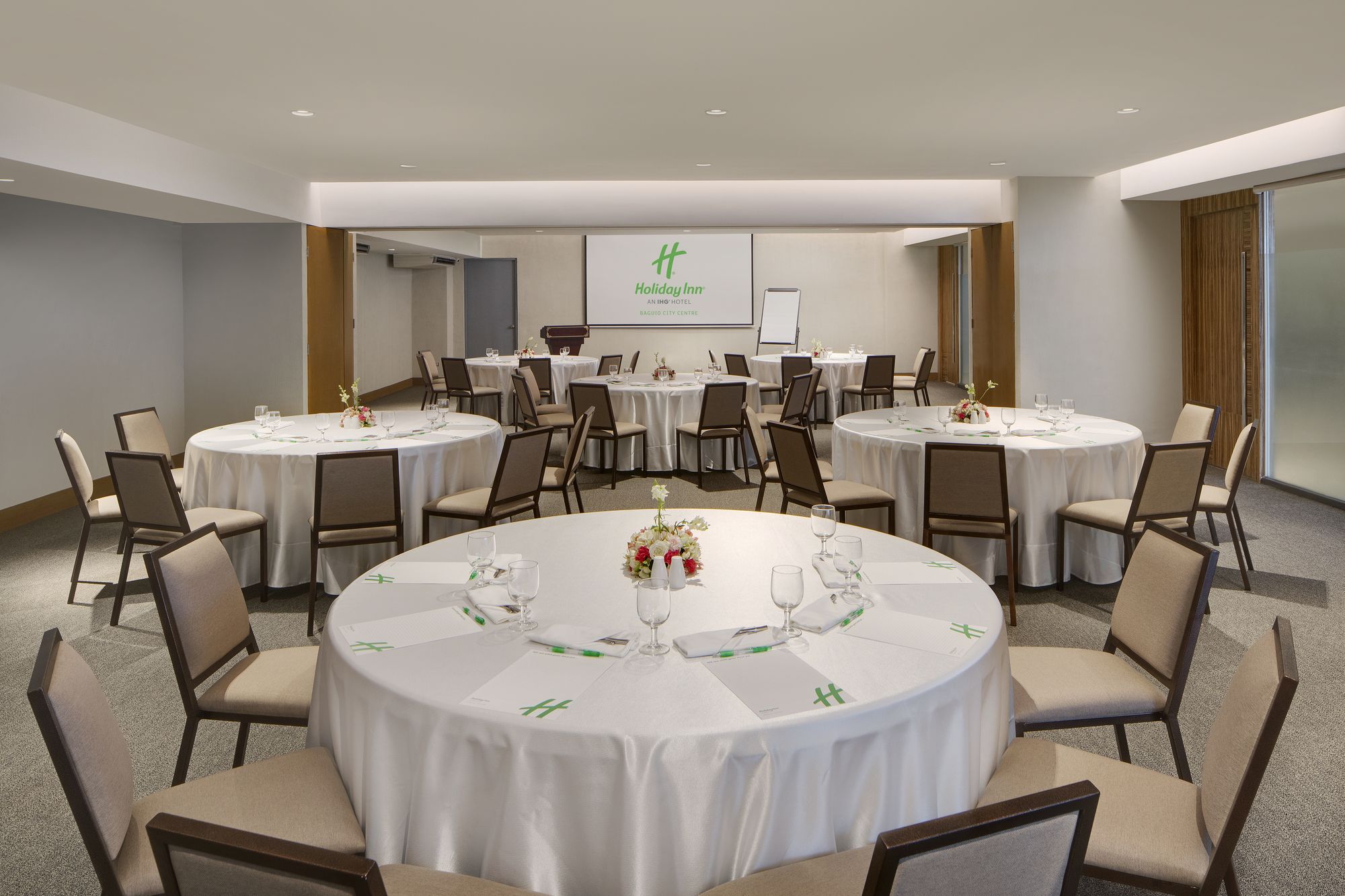 Ion Hotel