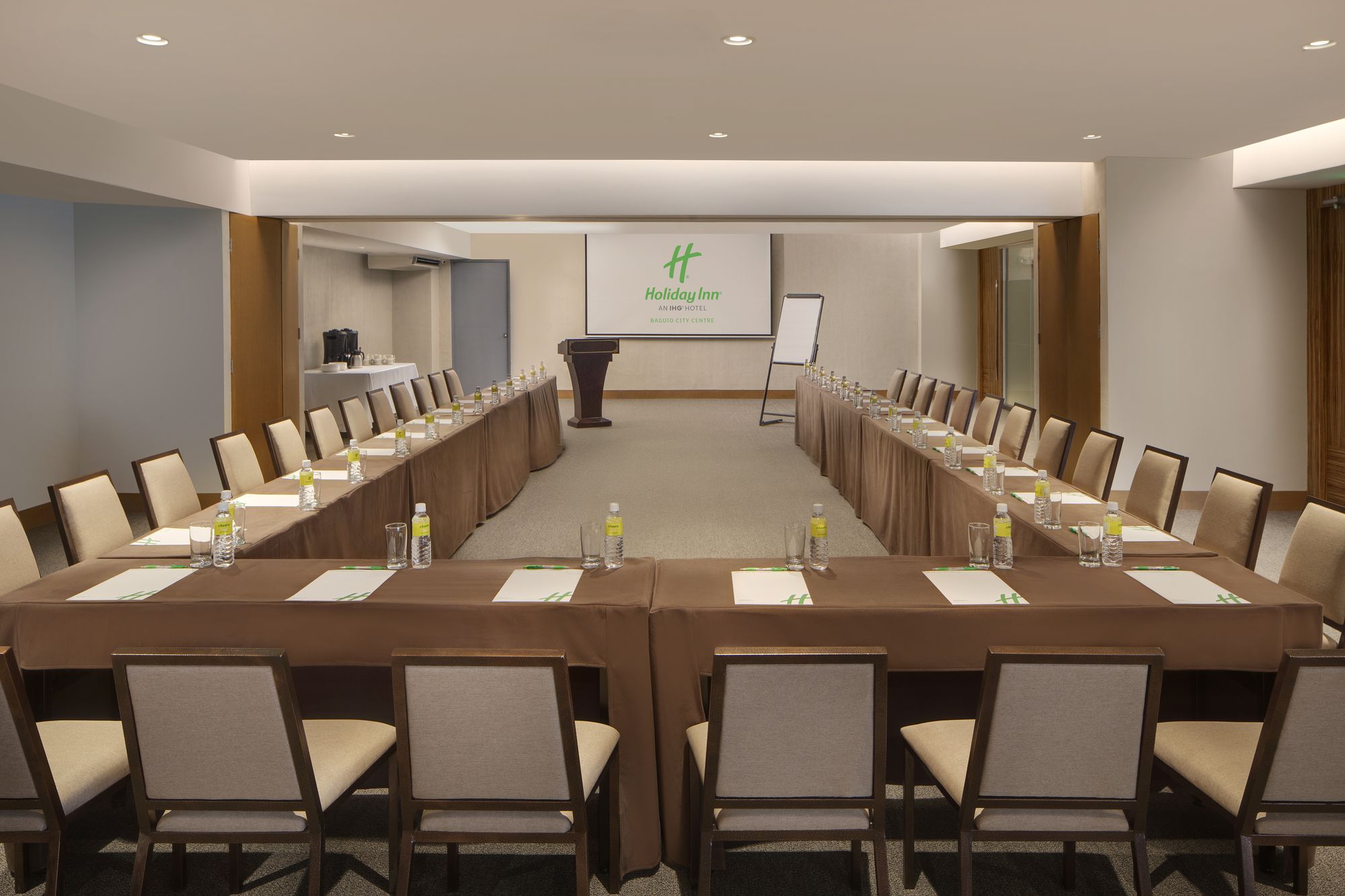 Ion Hotel
