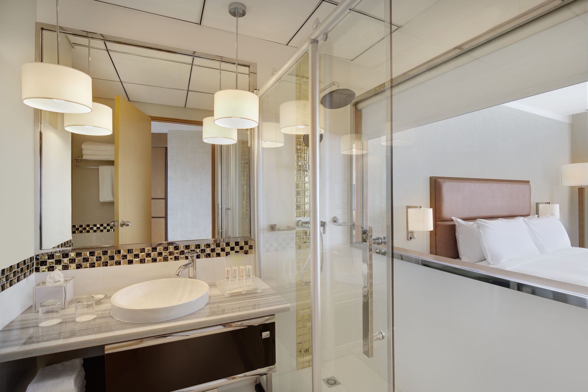 Ion Hotel