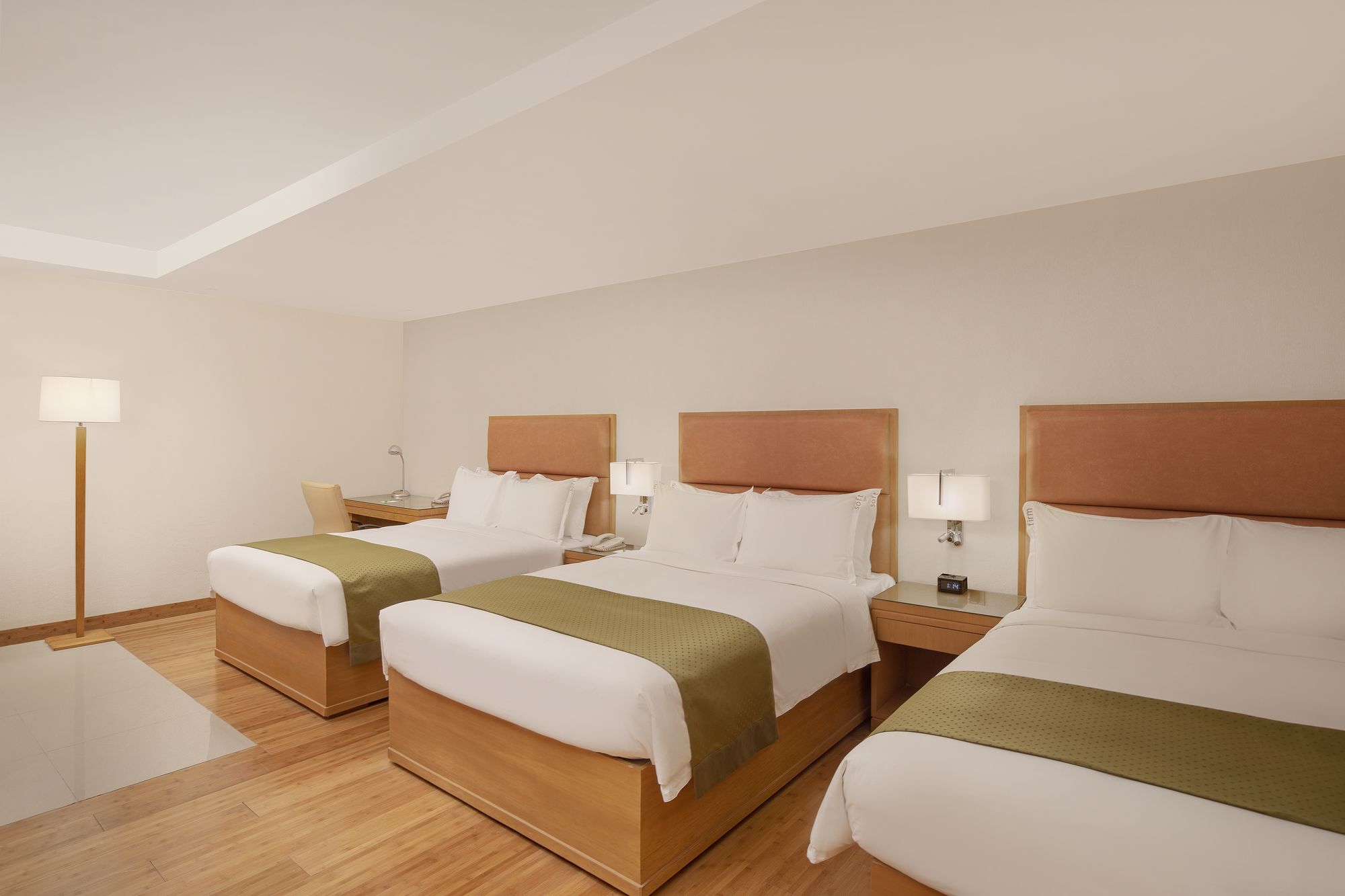 Ion Hotel