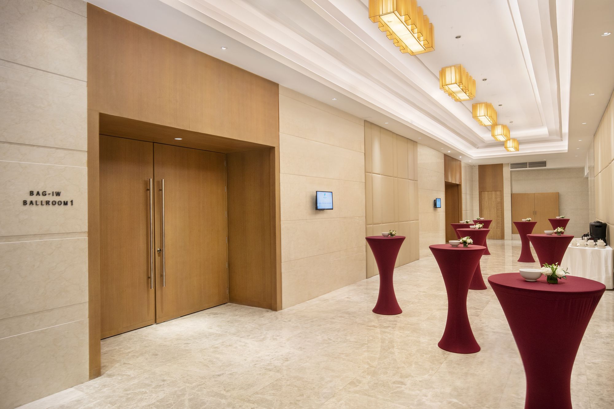 Ion Hotel