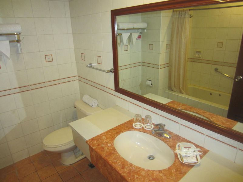 Hotel Veniz