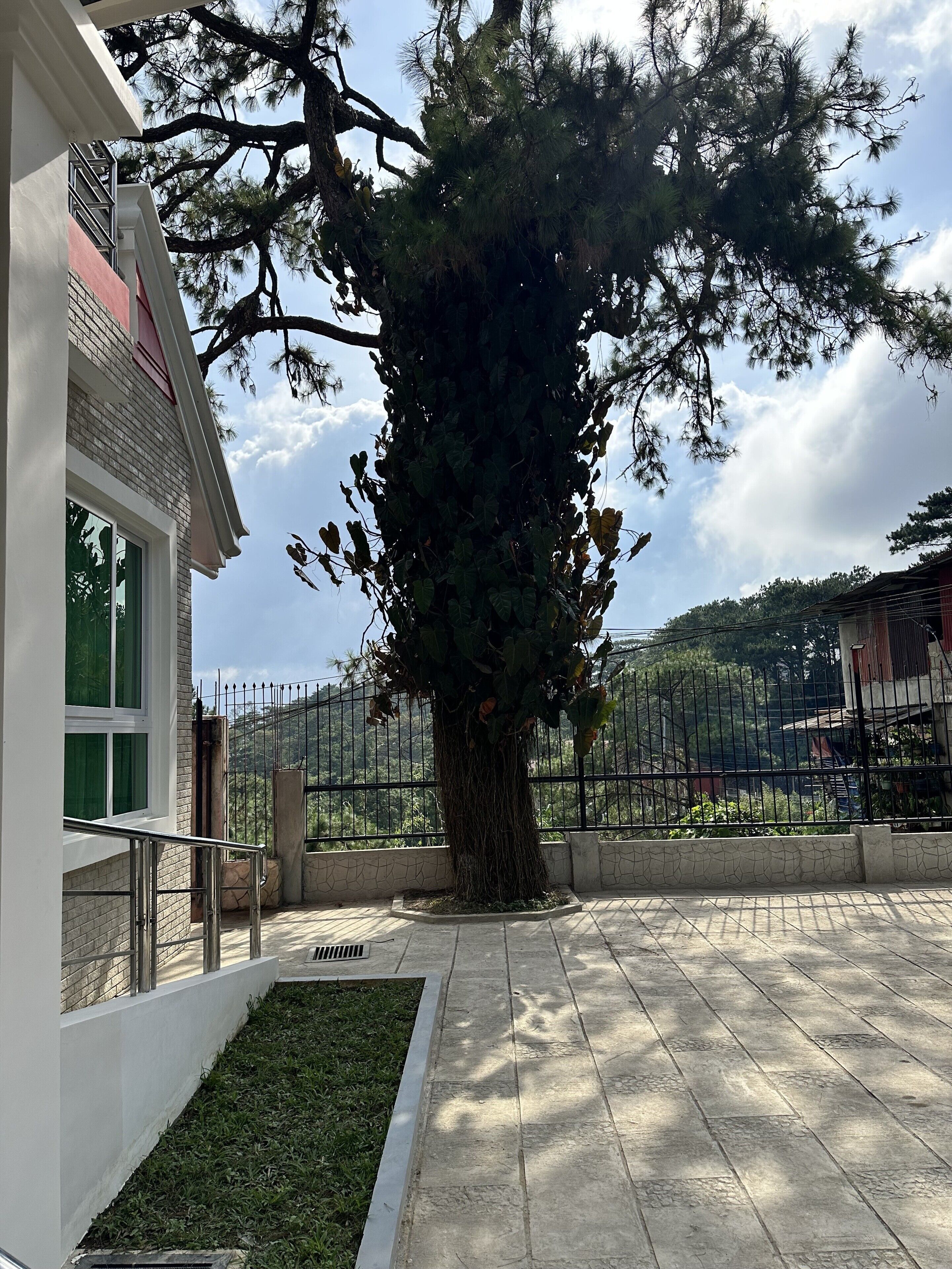 Lee Boutique Hotel Baguio