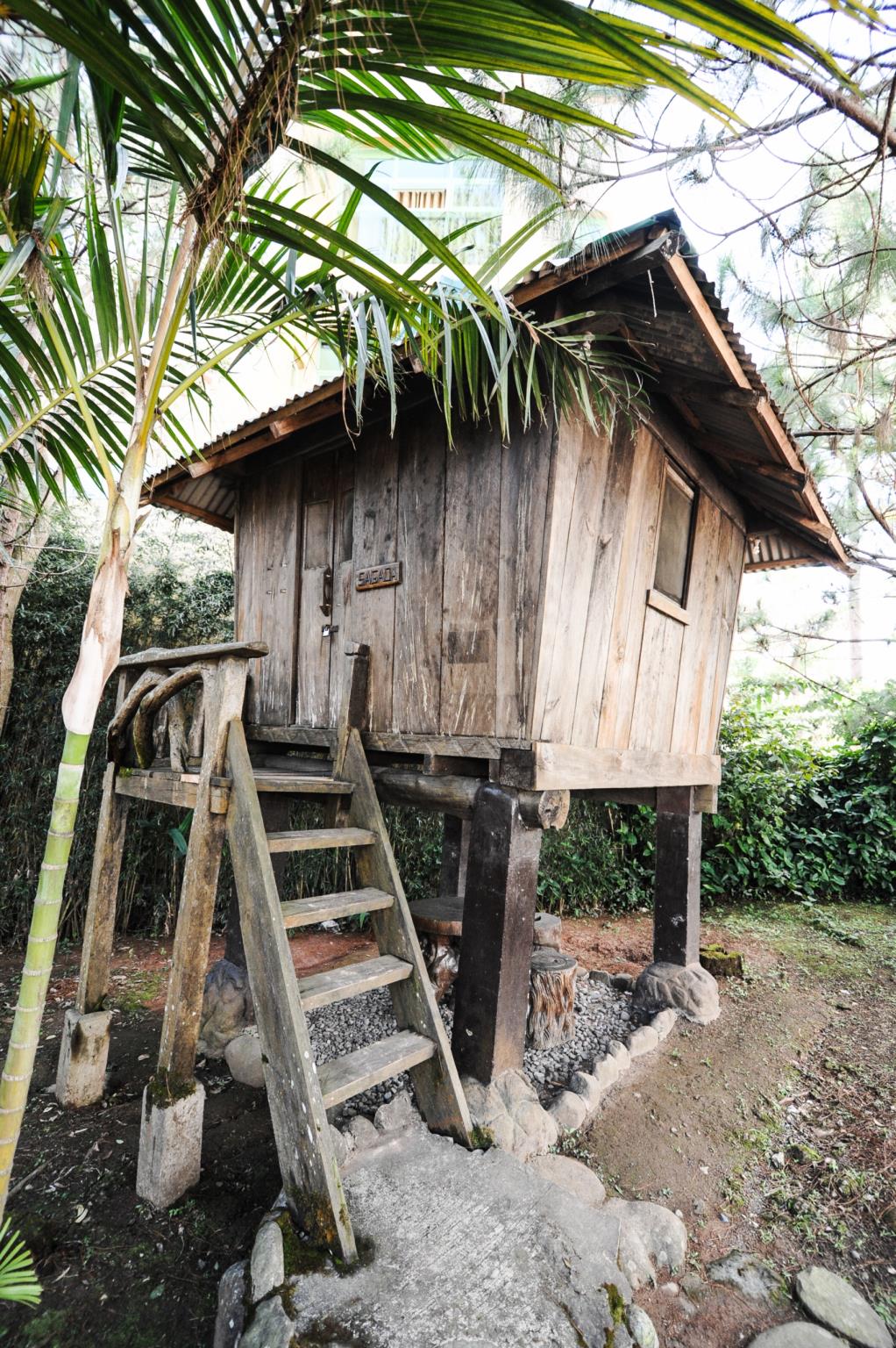 Pine Breeze Cottages