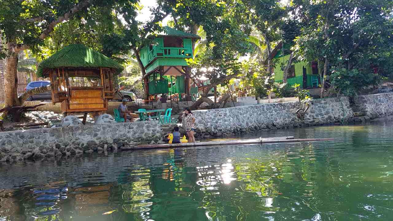 Nature Green Forest Resort