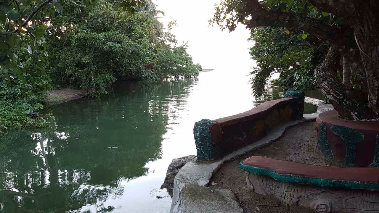 Nature Green Forest Resort