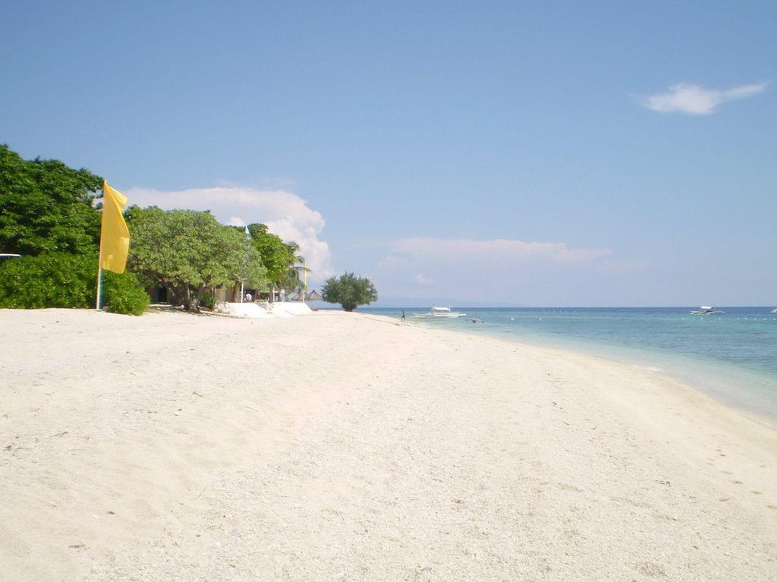 Balicasag Island Dive Resort