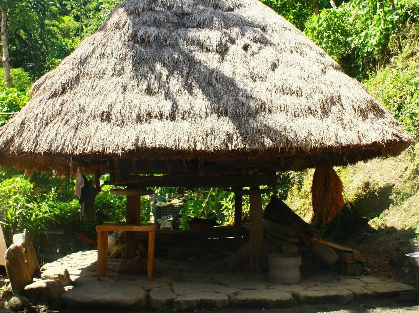 Batad Transient House