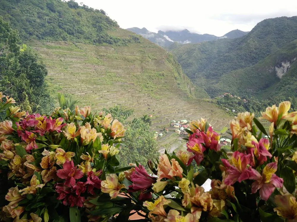 Batad View Inn and Restaurant