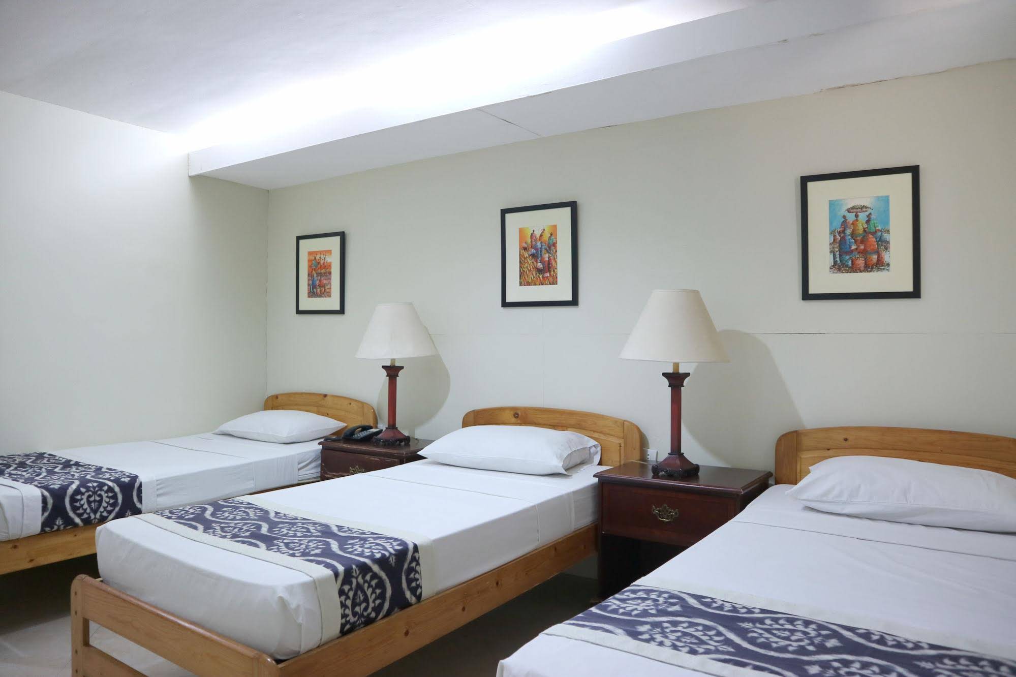 Metro Vigan Inn
