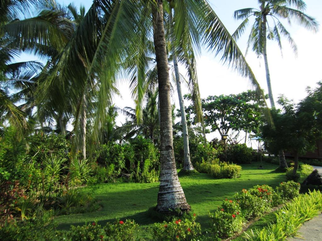 Maia's Beach Resort