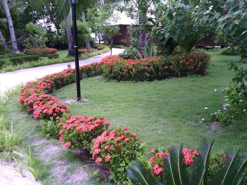 Maia's Beach Resort
