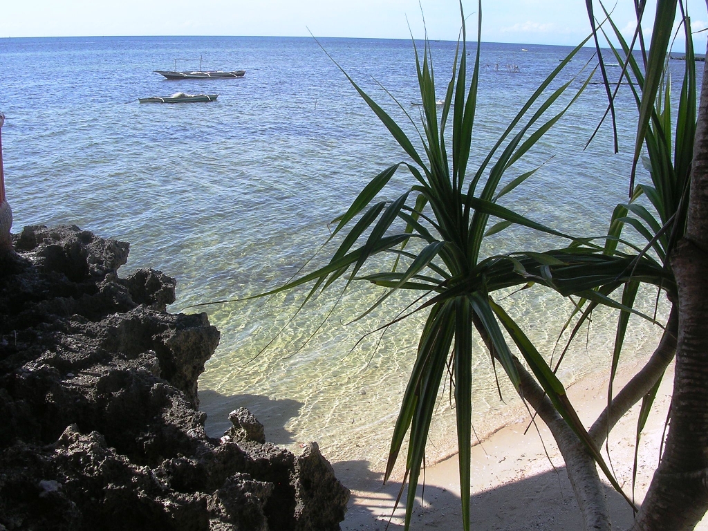 Maia's Beach Resort