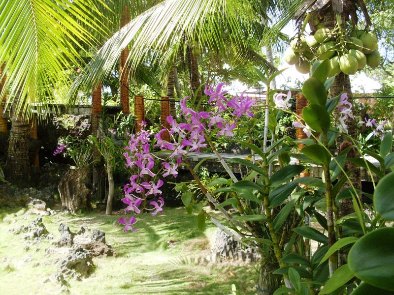 Maia's Beach Resort