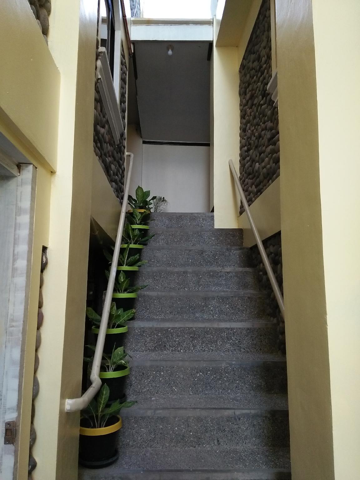 DDD Habitat Lodging House